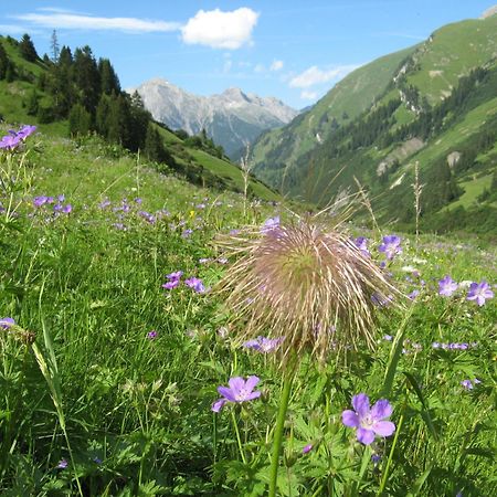Ferienwohnungen Schlichtherle Bach  Exteriér fotografie