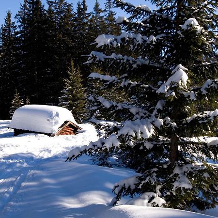 Ferienwohnungen Schlichtherle Bach  Exteriér fotografie